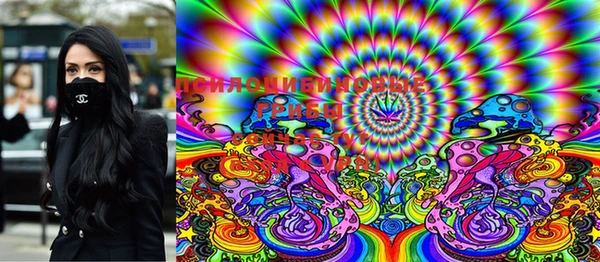 PSILOCYBIN Баксан